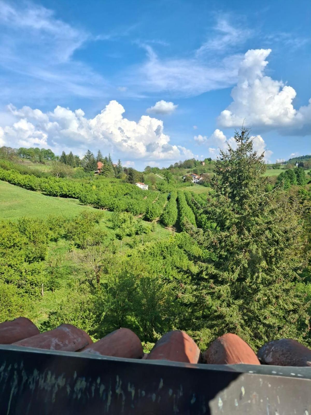Cascina Bringin Leilighet Mondovì Eksteriør bilde